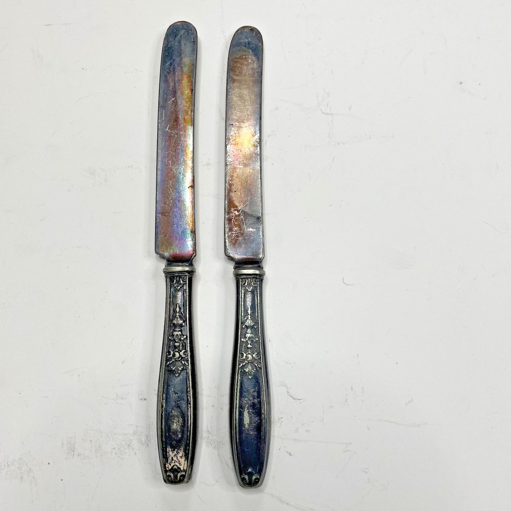 2 Butter Knives Silverware‎ 1847 Roger's Bro. Ambassador Silverplate Flatware